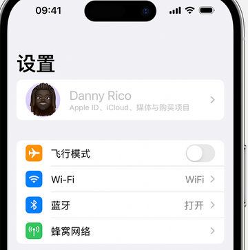 龙圩appleID维修服务iPhone设置中Apple ID显示为灰色无法使用