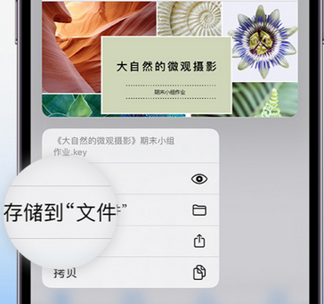 龙圩apple维修中心分享iPhone文件应用中存储和找到下载文件