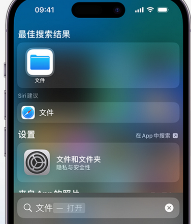 龙圩apple维修中心分享iPhone文件应用中存储和找到下载文件