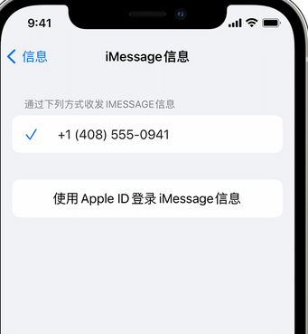 龙圩apple维修iPhone上无法正常发送iMessage信息