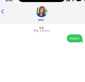 龙圩apple维修iPhone上无法正常发送iMessage信息