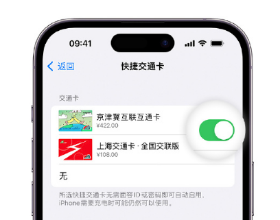 龙圩apple维修点分享iPhone上更换Apple Pay快捷交通卡手绘卡面 