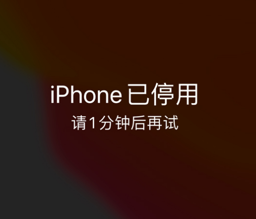 龙圩苹果手机维修分享:iPhone 显示“不可用”或“已停用”怎么办？还能保留数据吗？ 