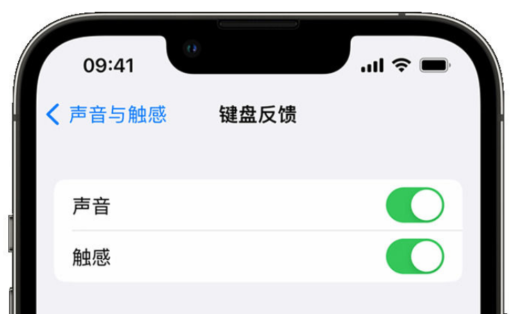 龙圩苹果手机维修分享iPhone 14触感键盘使用方法 