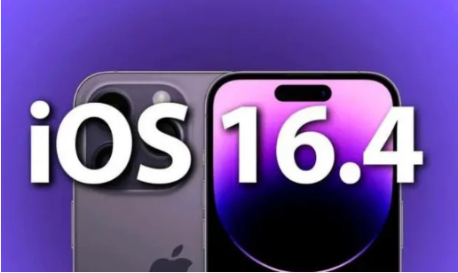 龙圩苹果14维修分享：iPhone14可以升级iOS16.4beta2吗？ 