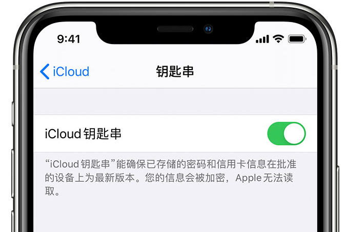 龙圩苹果手机维修分享在 iPhone 上开启 iCloud 钥匙串之后会储存哪些信息 