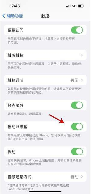 龙圩苹果手机维修分享iPhone手机如何设置摇一摇删除文字 