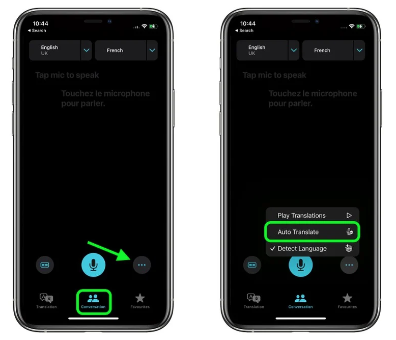 龙圩苹果手机维修分享iOS 15 “翻译” App 新改进 