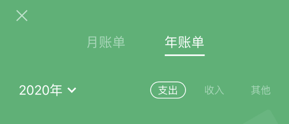 龙圩苹果手机维修分享如何在 iPhone 上查看支付宝和微信年支出账单 